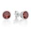 Picture of JANUARY   , 5mm BEZEL STUDS